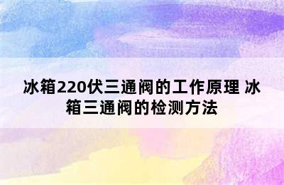 冰箱220伏三通阀的工作原理 冰箱三通阀的检测方法